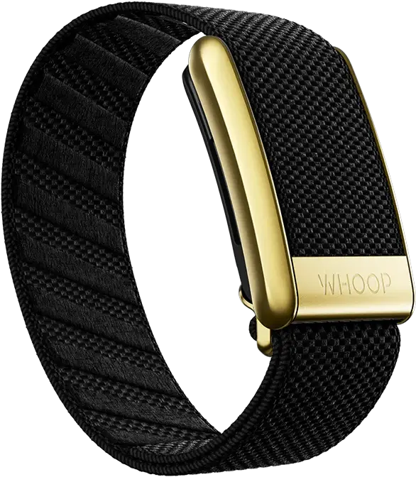 Onyx with Gold - SuperKnit Luxe Band For whoop