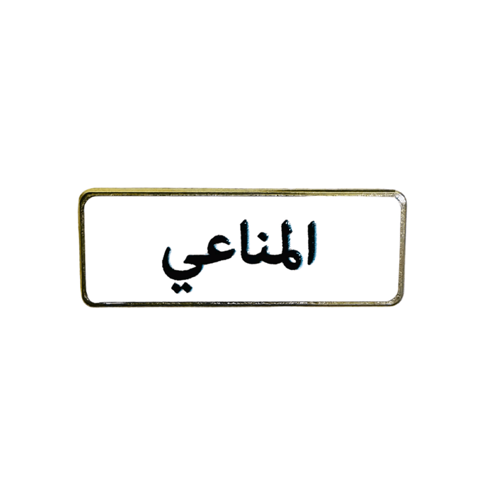 أسماء العائلات, ملصق معدني فاخر ثلاثي الأبعاد, مصنوع من معدن متين, مزود بلصق قوي, للسيارة والمكتب او المنزل، من تميمي بروجكتس في قطر