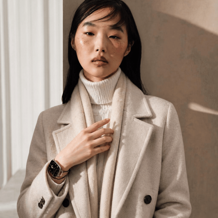 Apple Watch Hermès Series 12 GPS + Cellular 42mm Silver Titanium with Double Tour Band - Trench