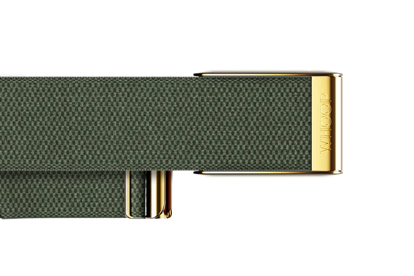 Ivy with Gold - SuperKnit Luxe Band