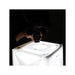 Get Orangemonkie استديو التصوير foldio2 Plus in Qatar from TaMiMi Projects