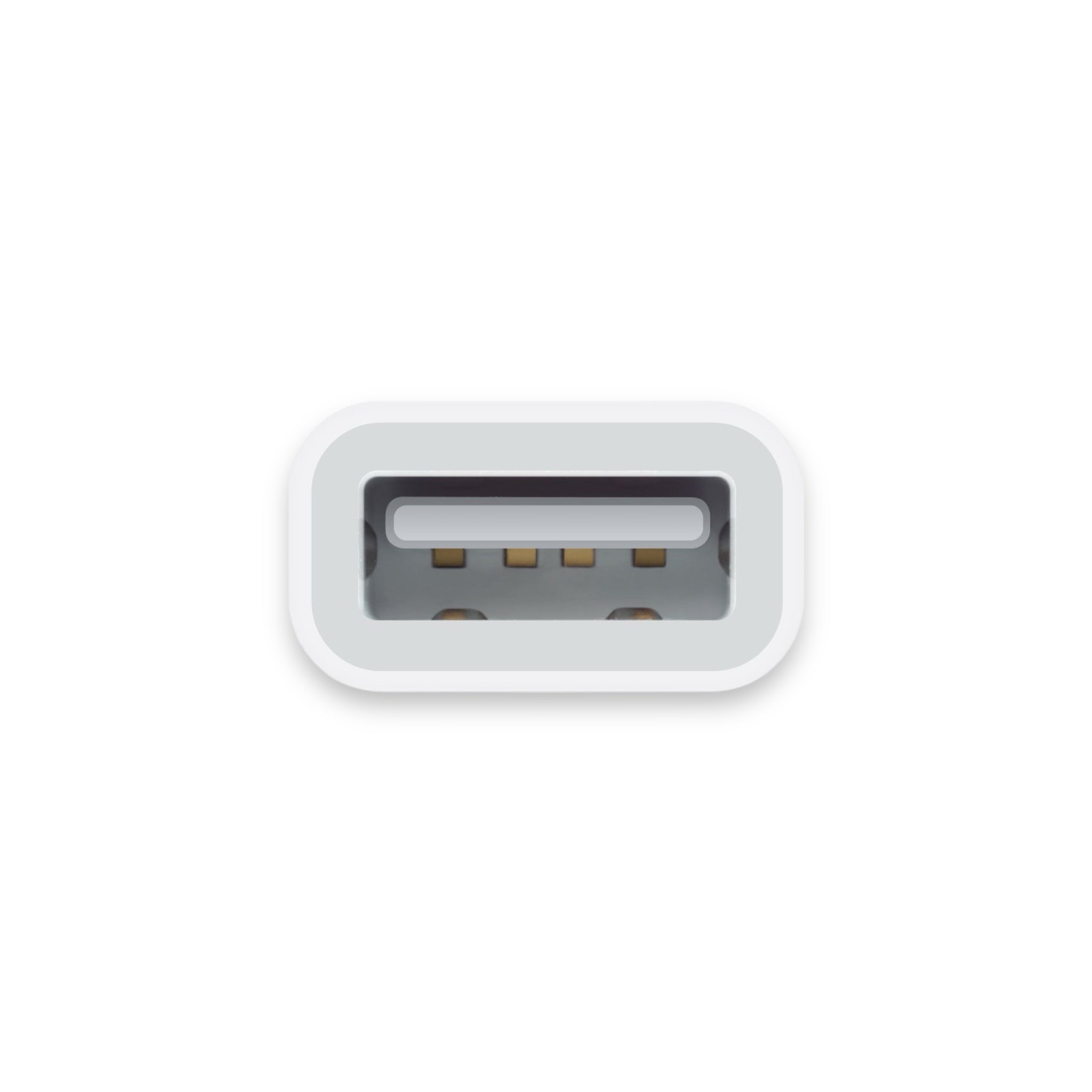 Apple Lightning to USB Camera Adapter Apple Lightning to USB Camera Adapter
