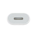 Apple USB-C to Lightning adapter, perfect for easy charging and data transfer, available now from TaMiMi Projects in Qatar.
