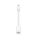 Apple USB-C to USB adapter allows connecting iOS, iPadOS devices, standard USB accessories, at TaMiMi Projects in Qatar.