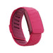 Whoop SportFlex Silicone Band, flexible and durable design for ultimate comfort and performance during workouts, available at TaMiMi Projects in Qatar.