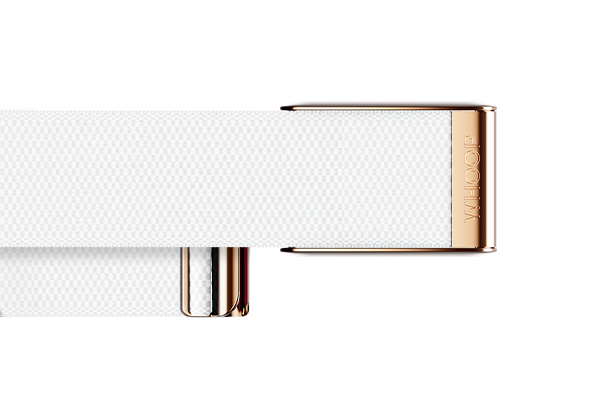 Arctic with Rose Gold - SuperKnit Luxe Band