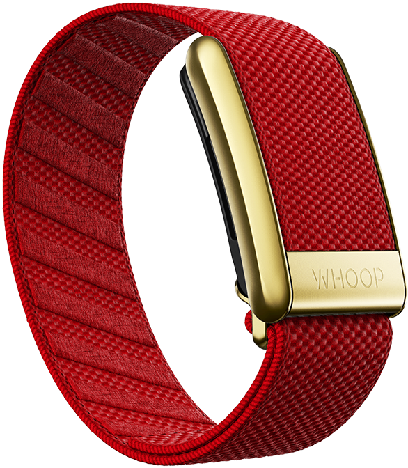 SuperKnit Luxe Band - Cranberry with Gold