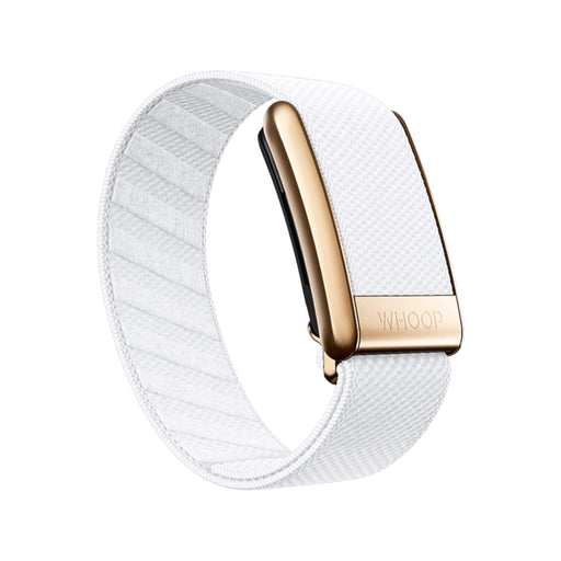 Arctic with Rose Gold SuperKnit Luxe Band for Whoop, luxurious and durable band elegant design, at TaMiMi Projects in Qatar.