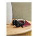 Shop Beats Studio Pro Wireless Headphones Black & Gold Edition at TaMiMi Projects Qatar