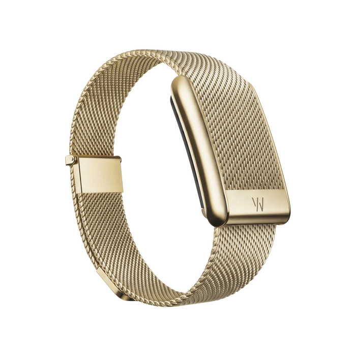 WHOOP 5.0 Meridian Band from TaMiMi Projects in Qatar. Stainless steel, adjustable fit, premium Milanese mesh design.