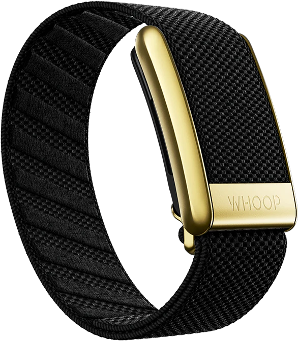 Onyx with Gold - SuperKnit Luxe Band