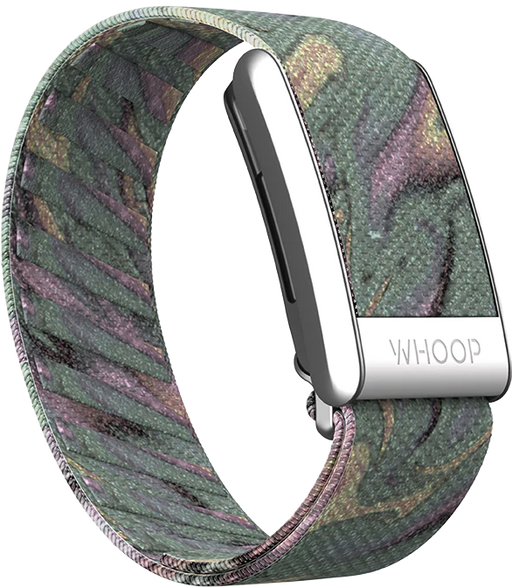 Get Whoop Geode SuperKnit Band in Qatar from TaMiMi Projects