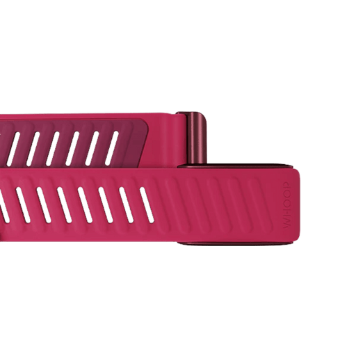 Shop Whoop SportFlex Silicone Band Pace at TaMiMi Projects in Qatar – Sweat-resistant and perfect for fitness.
