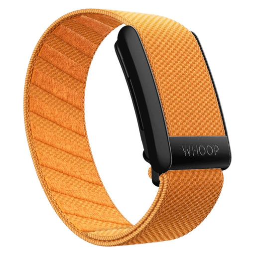 Get Tangerine SuperKnit Band With Black Hook - Special Edition