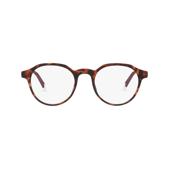 Barner Chamberi blue light blocking glasses, unisex design for eye protection from digital screens, in Qatar at TaMiMi Projects.