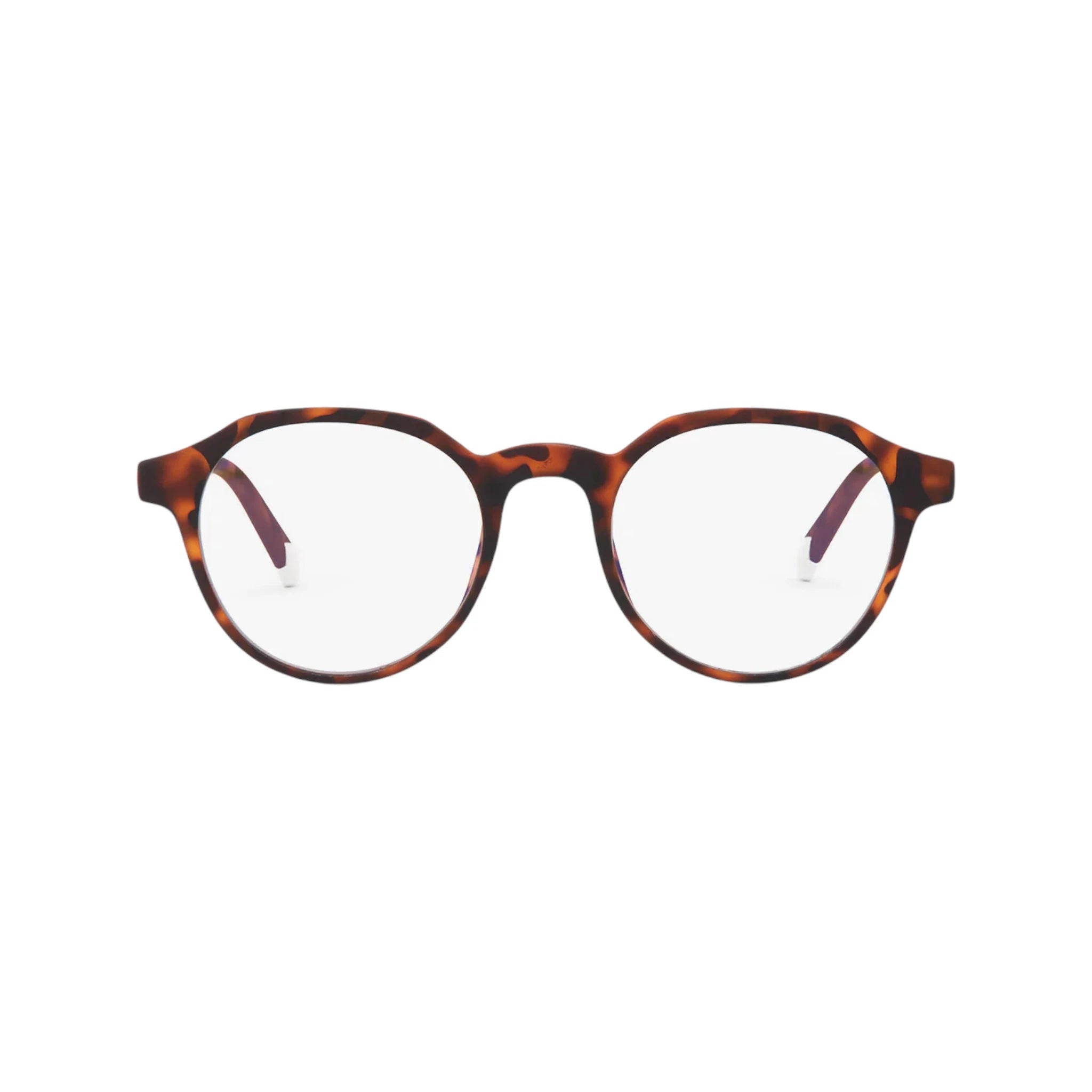 نظارة بارنر - شامبيري - صدفي نظارة بارنر - شامبيري - صدفي