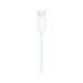 Apple EarPods USB-C Connector, wired earphones delivering clear audio, available at TaMiMi Projects in Qatar.
