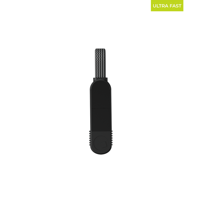 inCharge X - Mini -100W