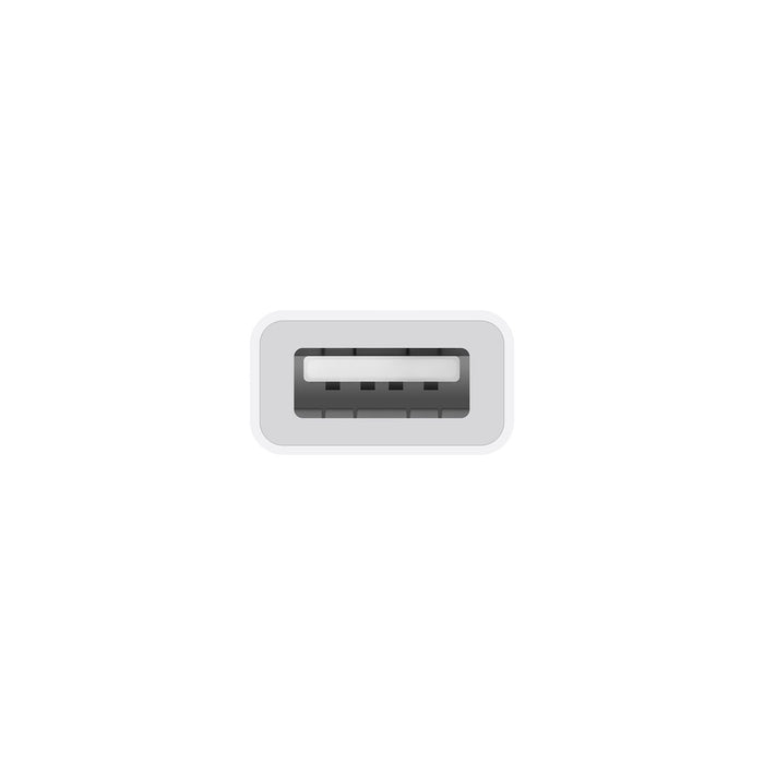Get Apple Apple USB-C to USB Adapter in Qatar from TaMiMi Projects