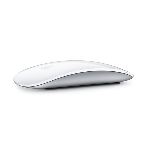 Get Apple Apple Magic Mouse - Silver in Qatar from TaMiMi Projects