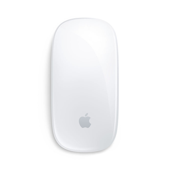 Get Apple Apple Magic Mouse - Silver in Qatar from TaMiMi Projects