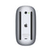 Get Apple Apple Magic Mouse - Silver in Qatar from TaMiMi Projects